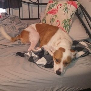 Meet your Posher, Cassidy